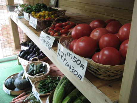 自家製野菜販売